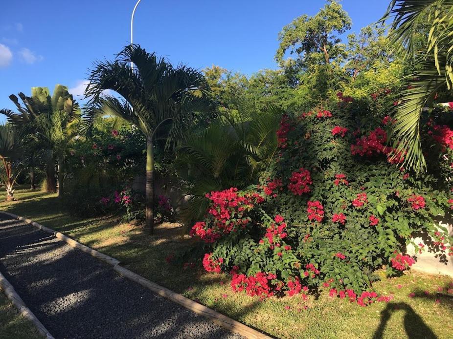 Villa La Belle Creole Saint-Francois  Ngoại thất bức ảnh